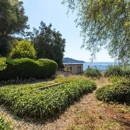 Magnificent Villa Lejlighed